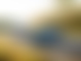 Volkswagen Jetta 2025 : Vent de fraicheur pour la voiture du peuple