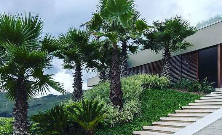 WhatsApp Image 2023-01-31 at 5.59.08 PM (2).jpeg