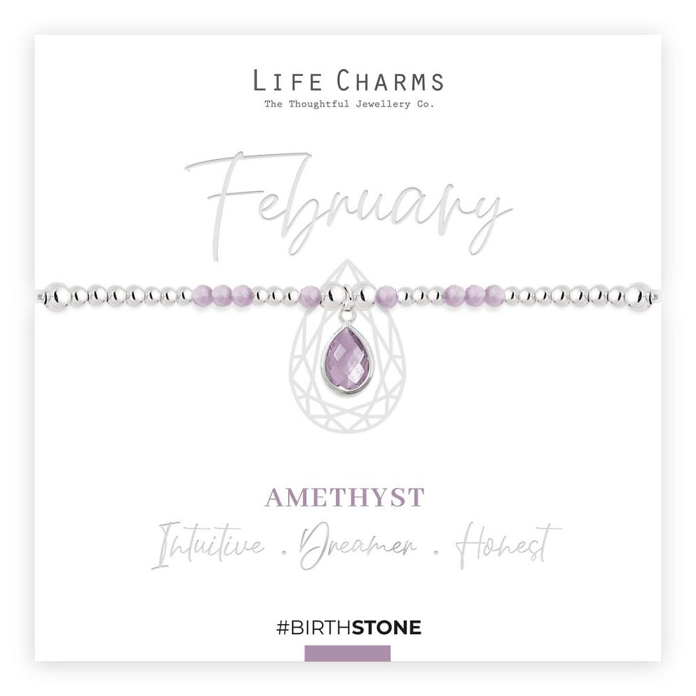Life Charms Birthstone Bracelet - February