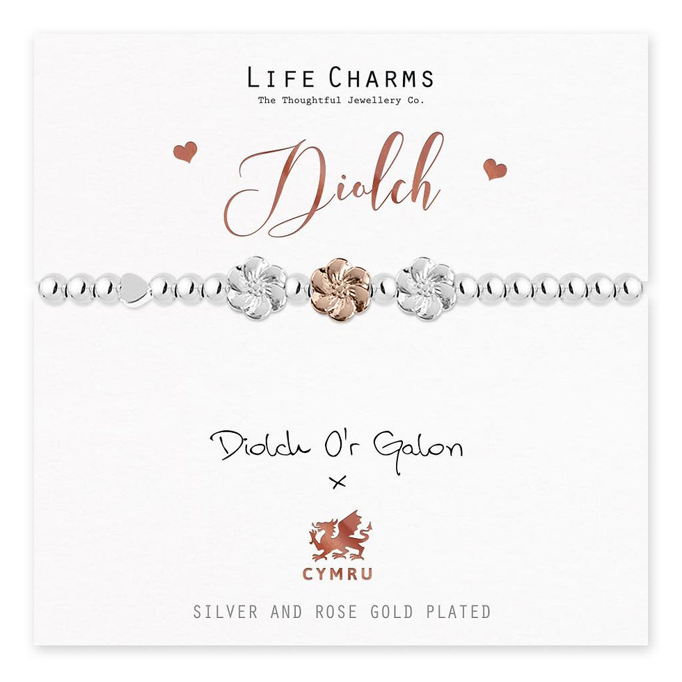 Life Charms Welsh Bracelet - Diolch/Thank you