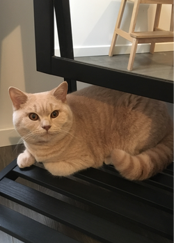 Nounours UN AN