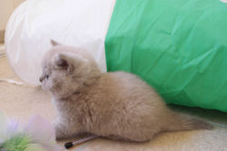 11802791_1639265799664846_1747573728538918912_o