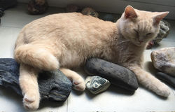 Kyle le jour de ses 5 mois