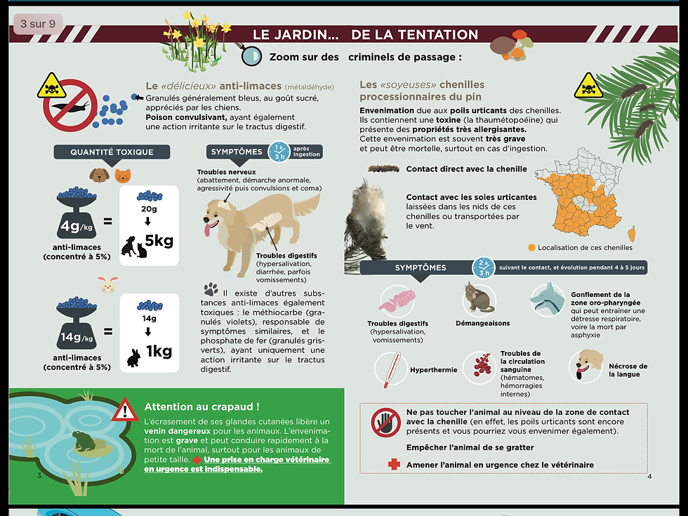 les dangers de la maison 4