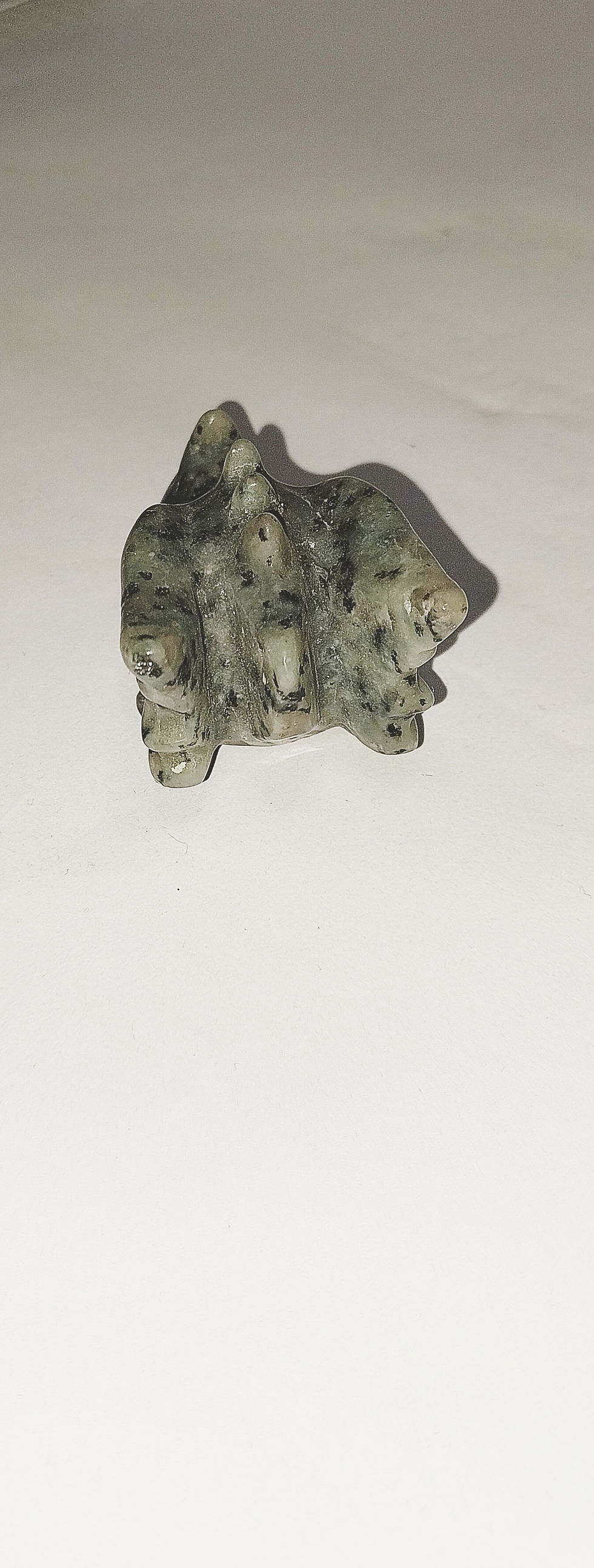 Thumbnail: Kiwi Jasper Dragon