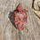 Thumbnail: Strawberry Iguana on Skull