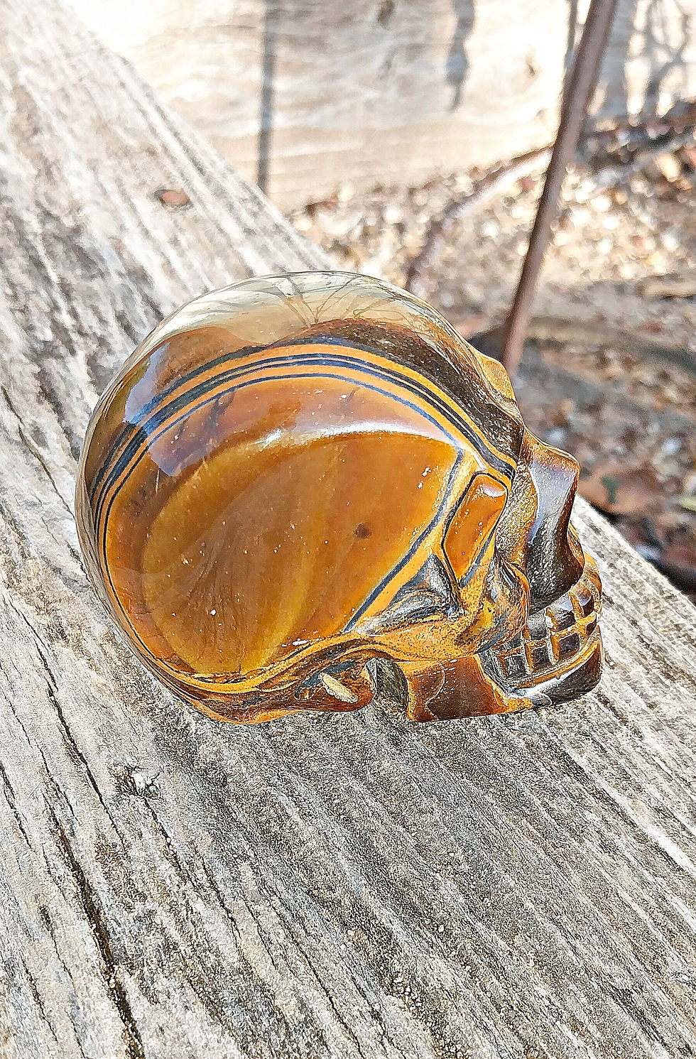Thumbnail: Tigers Eye Skull (HQ)