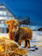 Thumbnail: Acrylic Paintings