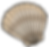 ree