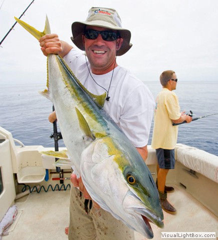 Sashimi Sportfishing, Cabo San Lucas, Cabo Sportfishing, Deep Sea Fishing Cabo