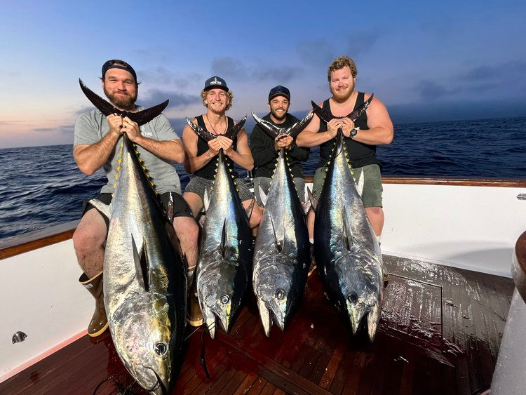 Sashimi Sportfishing, Cabo San Lucas, Cabo Sportfishing, Deep Sea Fishing Cabo