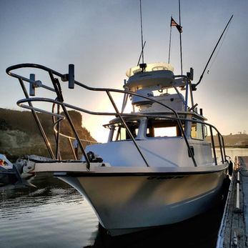 Sealutions Sportfishing, Newport Beach, Parker Pilothouse, Yellowtail Fishing Catalina Island