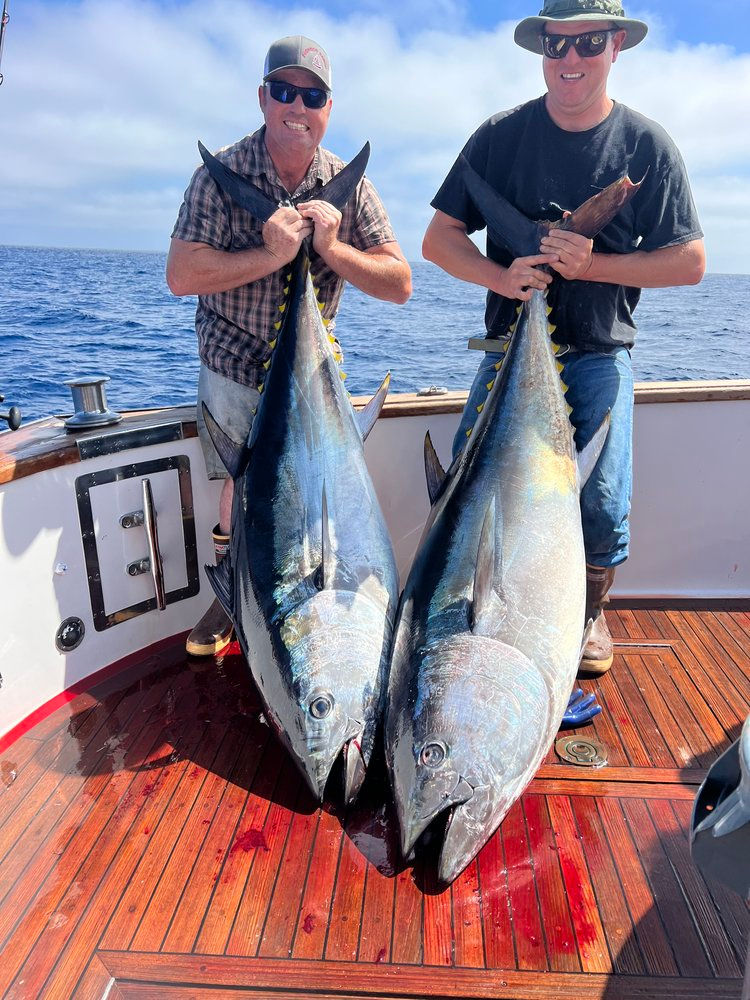 Sashimi Sportfishing, Cabo San Lucas, Cabo Sportfishing, Deep Sea Fishing Cabo