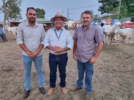 Elite do rebanho está garantido na ExpoQuinari 2022