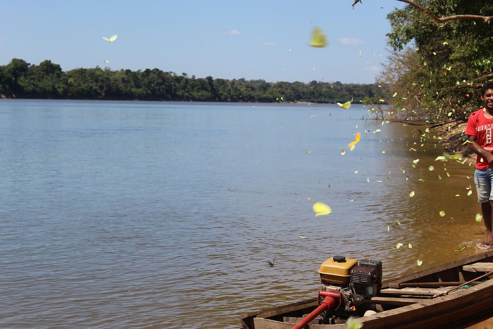 Universitários visitaram Reserva Extrativista Rio Preto Jacundá e trechos de Rio Ji-Paraná, onde destacaram importância da sustentabilidade