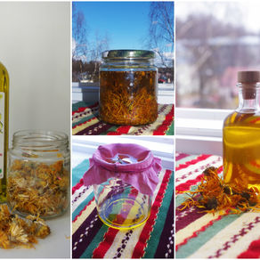 Making the Calendula Oil / Saialilleõli valmistamine