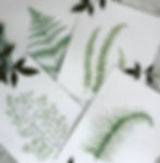 Thumbnail: Sword Fern