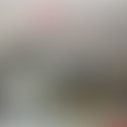 בזכותם אנחנו כאן - יומן ומסע ויד לזיכרון