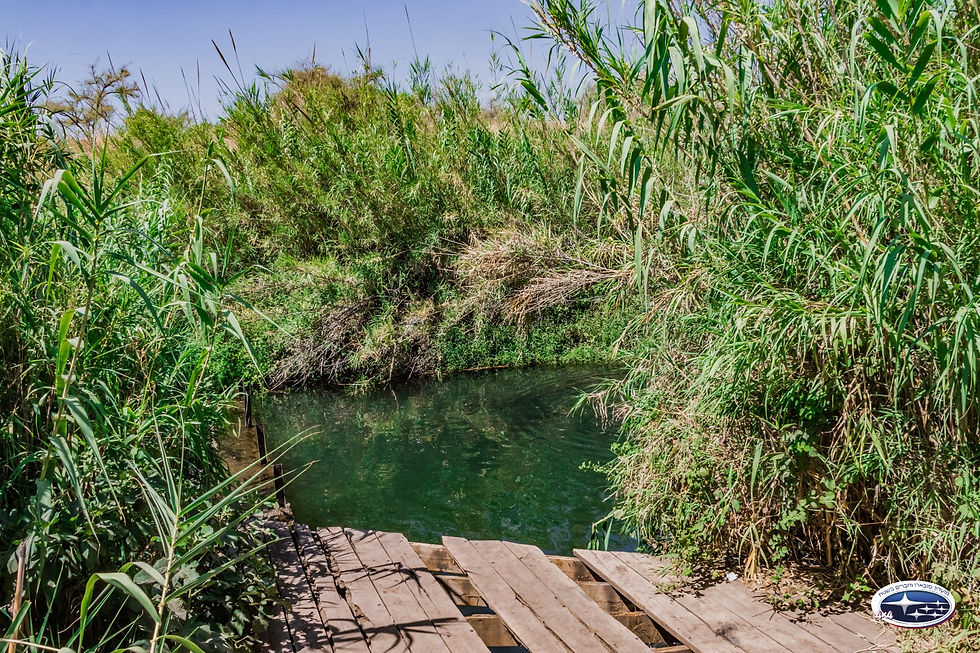 פסגות, מעיינות ומורשת קרב: מסע שטח בצפון רמת הגולן!