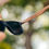 Thumbnail: Eyewood | Engraved Wooden Sunglasses - Native