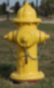 Fire Hydrant Inspection
