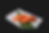 SALMON SUSHI