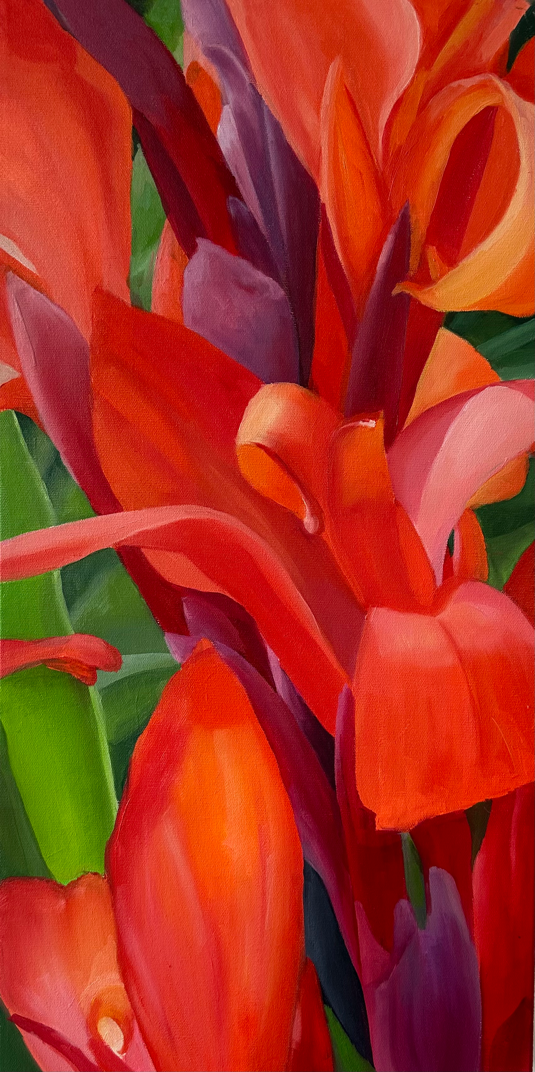 Red Canna Lily