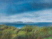 Scotland Fescue