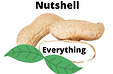 Copy of Everything in a nutshell.png