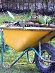 Brush, Metal and Bulk Items Collection