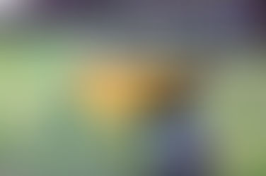 When Is the Right Time to Get Rubbish Removal?