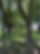 309FC8C4-7D73-465B-9C73-771C34033A0B_1_105_c.jpeg