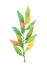 A branch with small green, yellow, and orange leaves.