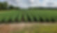 20190821_165551_resized_edited.jpg