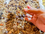 Barras de Granola con chocolate
