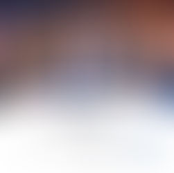 Panel de conferencistas Conferencia de Negocios España-Curaçao