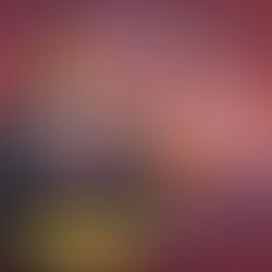 Curaçao: Hub estratégico para la inversión hotelera y turística en el Caribe