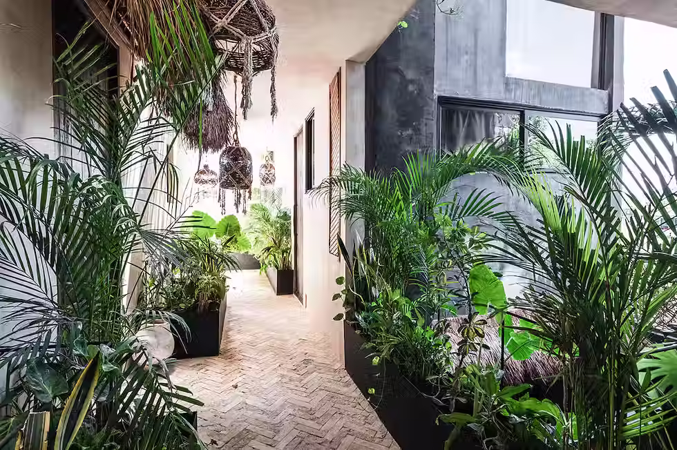 esmeralda boutique in tulum.avif