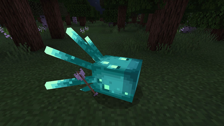 image0.png