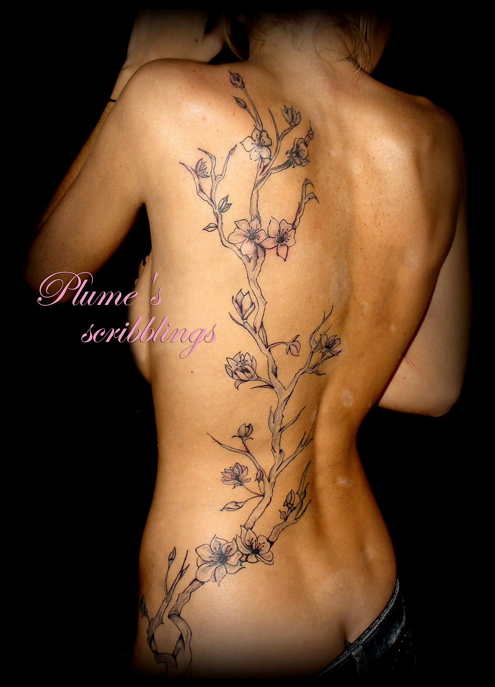 dos cerisier plume scribblings