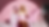 Copy of SCARLETT BANNER 1.png