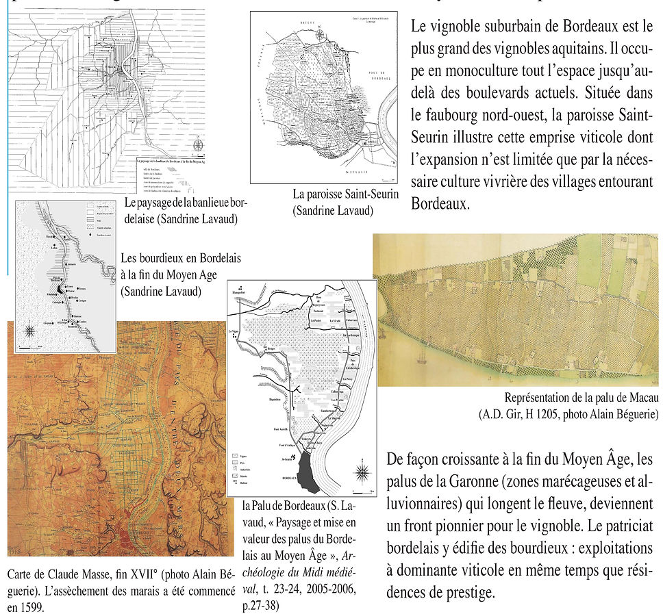 vignes autour de Bx.jpg