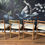 Thumbnail: Set of 4 Mid century Chairs 