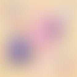 The Future of Conversational Al: Trends and Developments in OpenAl ChatGPT