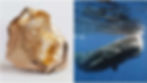 gold ambergris, what is ambergris