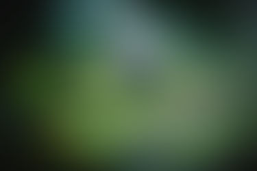 The Benefits of Installing a Water Feature To The Garden