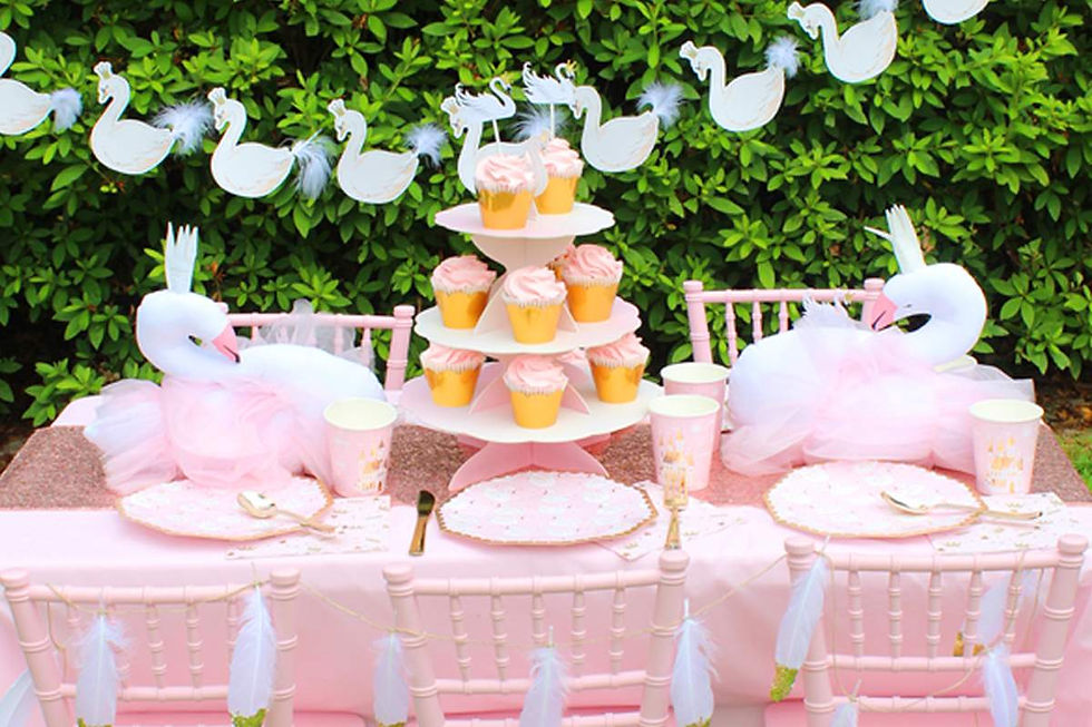 Swan Lake - First birthday theme