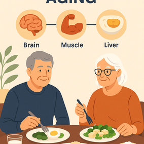 Choline Rich Foods
