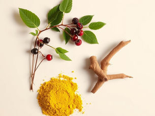 Berberine, a plant-derived compound, sits at the intersection of gut health, metabolism, and longevity.