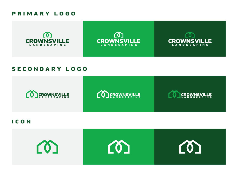 Final logos and icons provided to the client.